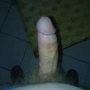 5 Bilder