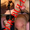 3 Bilder