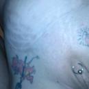 3 Bilder