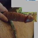 3 Bilder