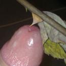 9 Bilder