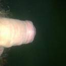 4 Bilder
