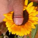 7 Bilder