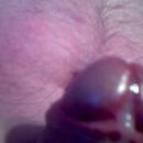 9 Bilder