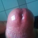 6 Bilder