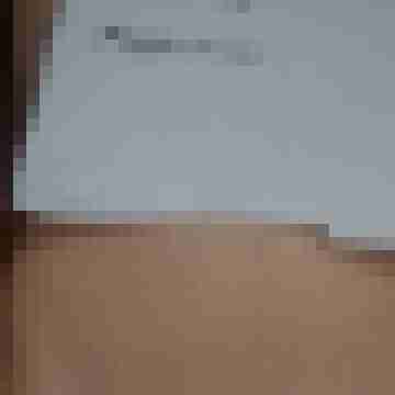 Reality Check