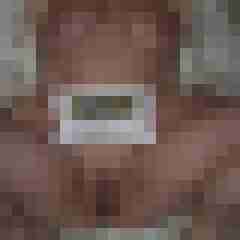 Reality Check