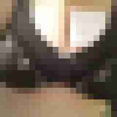 Reality Check