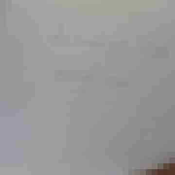 Reality Check