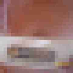 Reality Check
