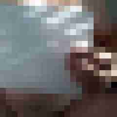 Reality Check