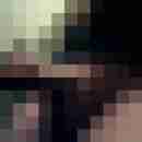 nordman
