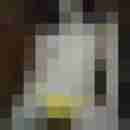 auggy0815