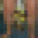 ressip53