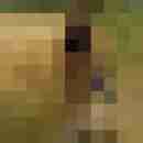 chris_iris