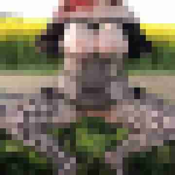 Nylongeiles_Paar
