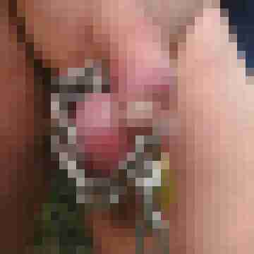 nippel81