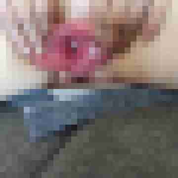 devote-x-stute