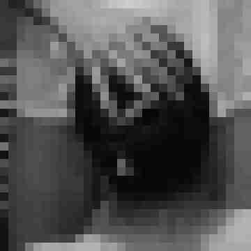 pichunters