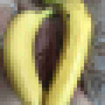 Geiles_versautes_paar6067