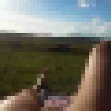 Alexx1740