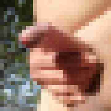 radeon