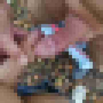 zappizapp1
