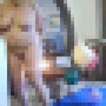 Letsy4u2c