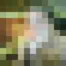 P_Boy_24