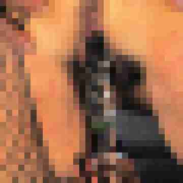 seemann0706