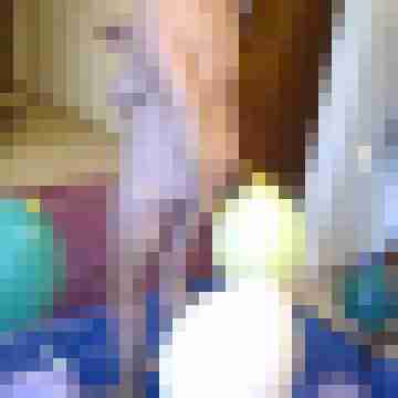 Letsy4u2c