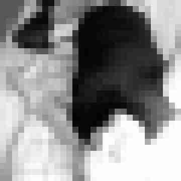 ToyBoyGesucht