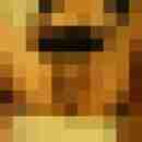 ronini