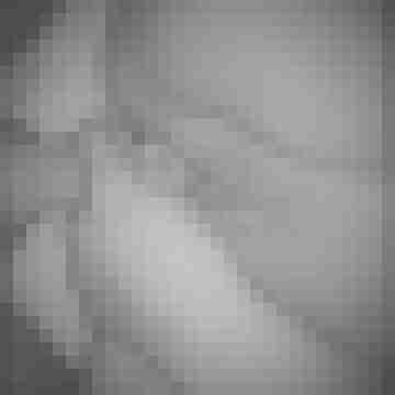 Pornlover_001