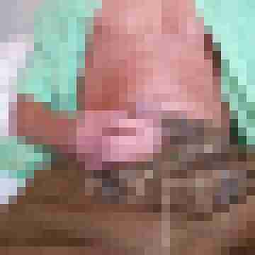 Flens_er