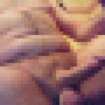 FlippNineQ