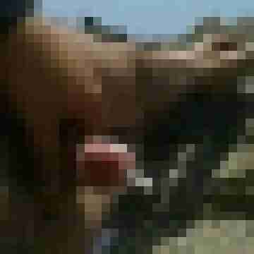 Tscharlie7