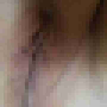 pinsel60