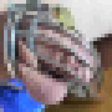 Haumphrey