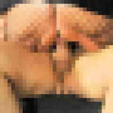 seemann0706