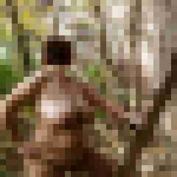 Ingo55
