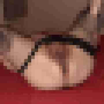 Pigtom
