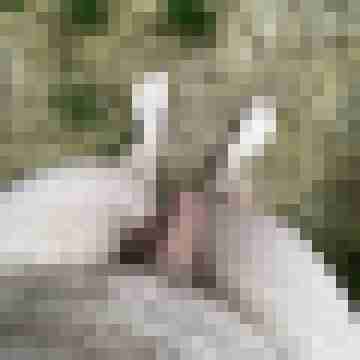 Thueringen36