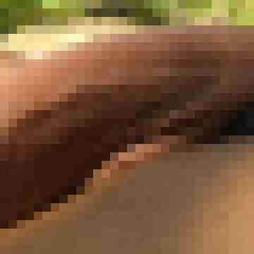 anal-grande