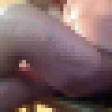 anal-grande
