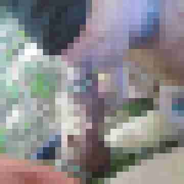 Hardandsoft50
