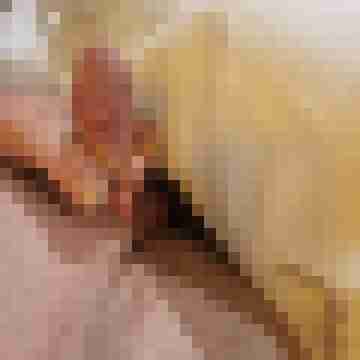 LustSpender81