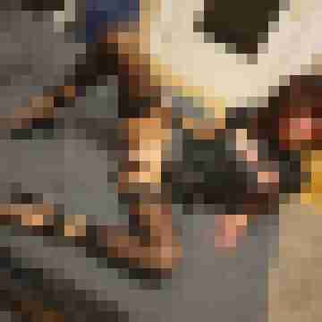 tvanalmaus_123