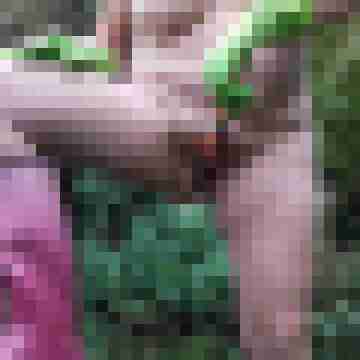 Letsy4u2c