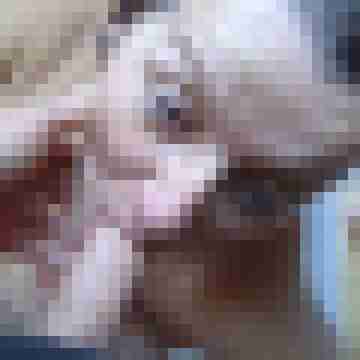 Letsy4u2c